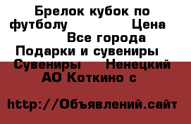 Брелок кубок по футболу Fifa 2018 › Цена ­ 399 - Все города Подарки и сувениры » Сувениры   . Ненецкий АО,Коткино с.